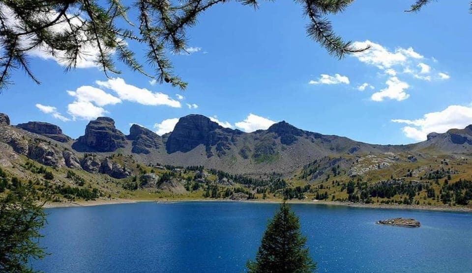 Region [summer] (>5 km)