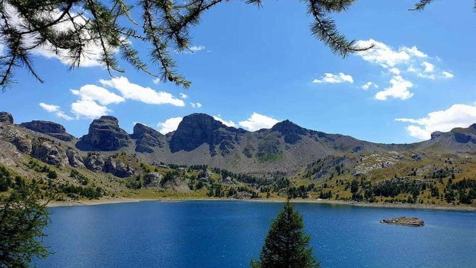 Region [summer] (>5 km)