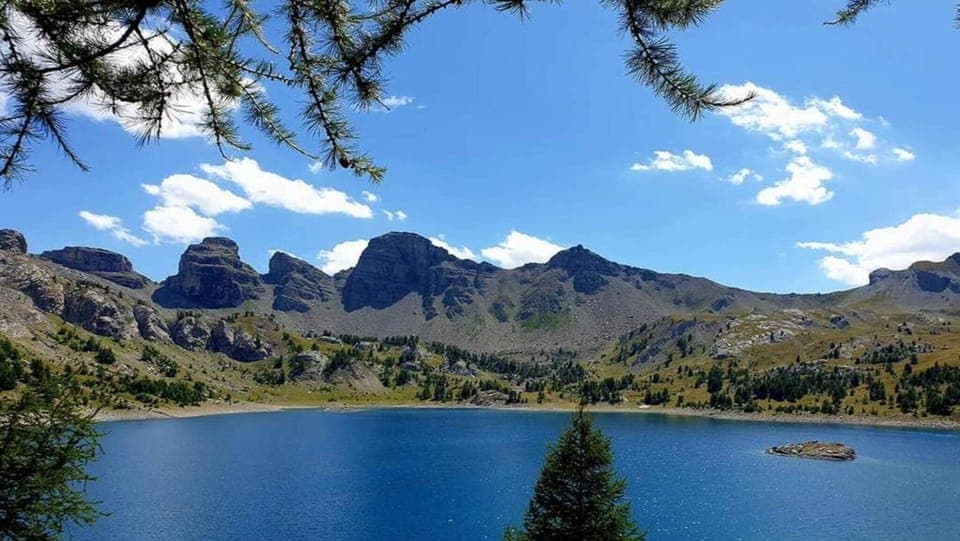 Region [summer] (>5 km)