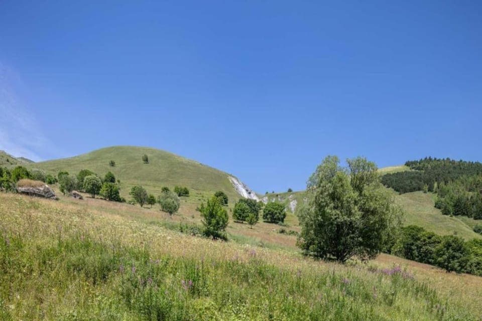 Region [summer] (>5 km)