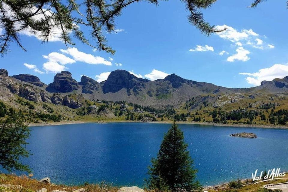 Region [summer] (>5 km)