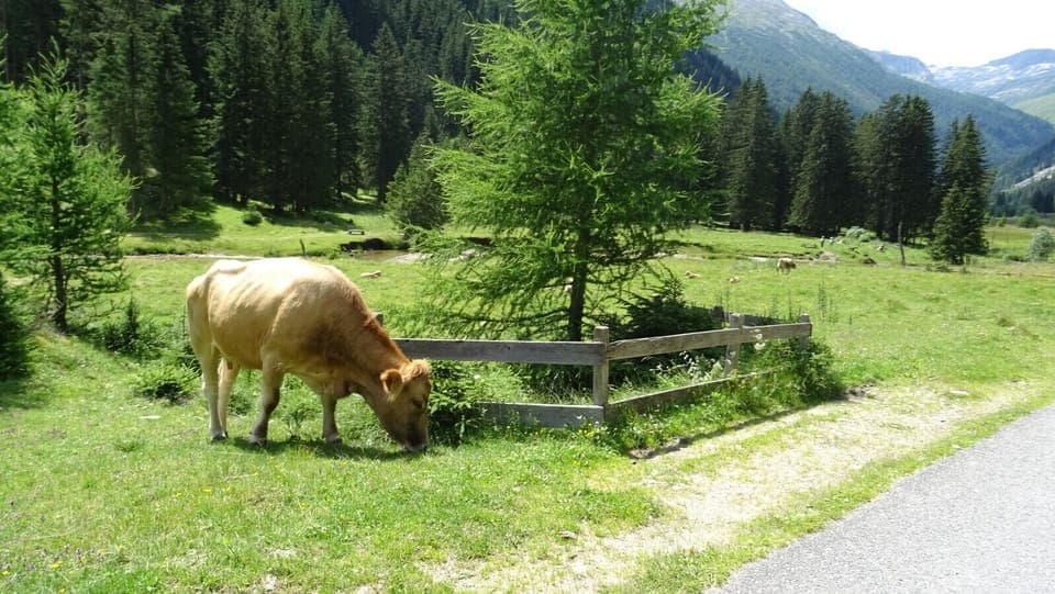 Wandern im Lieser-Malta-Tal