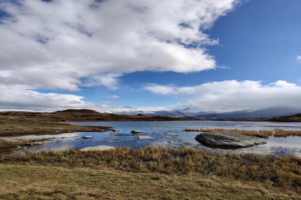 Region [summer] (>5 km)