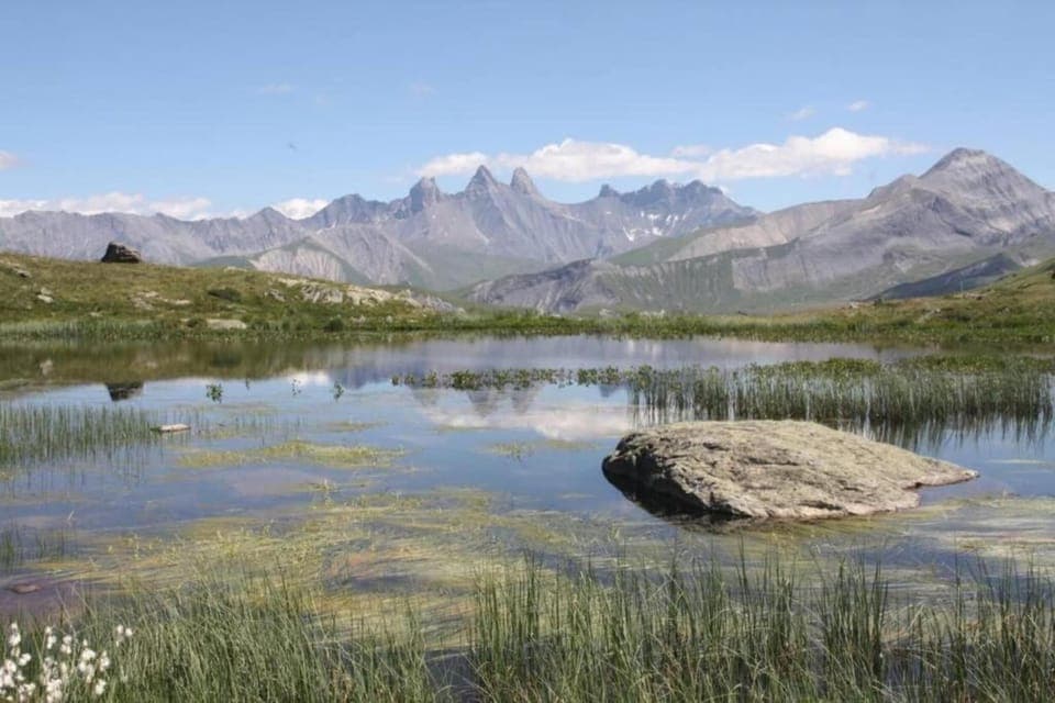 Region [summer] (>5 km)