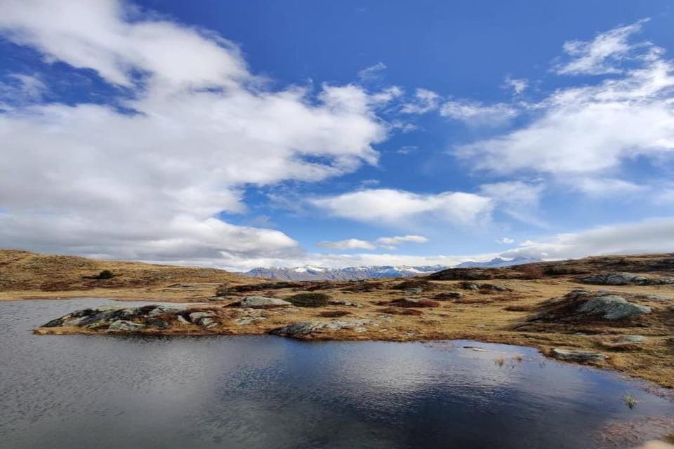 Region [summer] (>5 km)