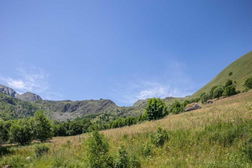 Region [summer] (>5 km)