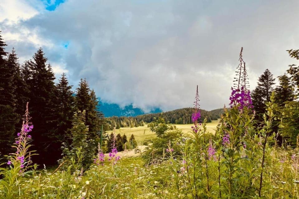 Surroundings [summer] (1-5 km)