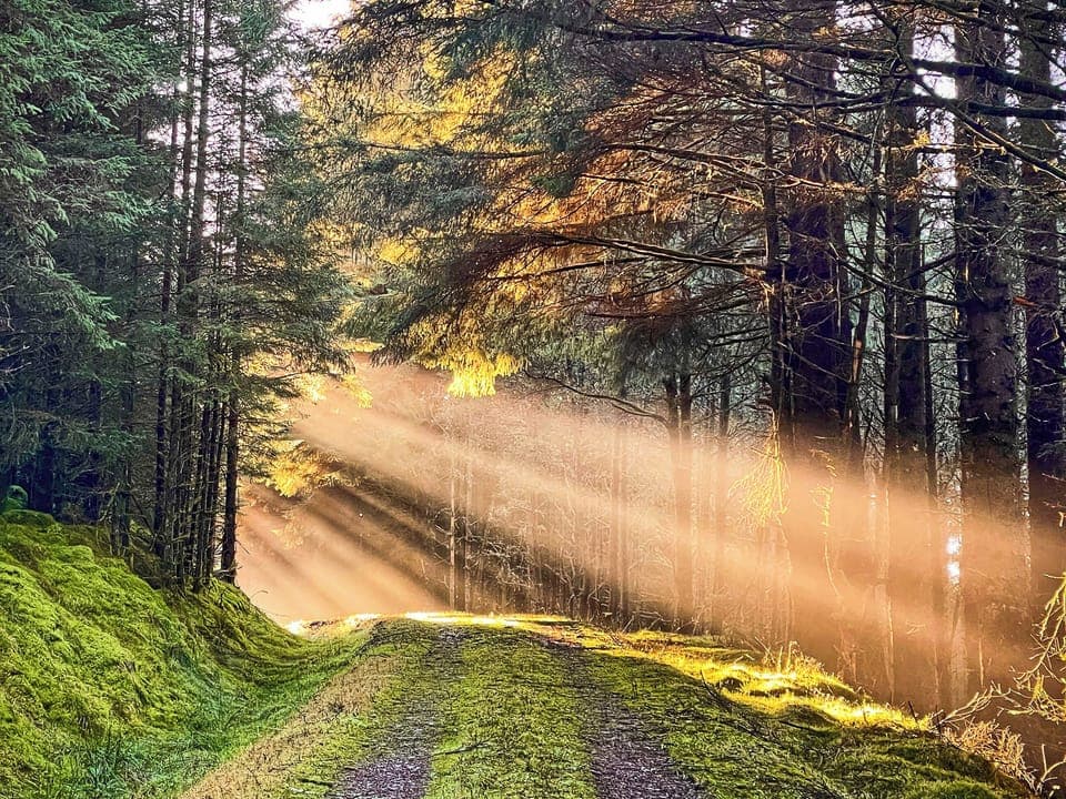 Surrounding area | The Old Barn, Colintraive, near Tighnabruaich