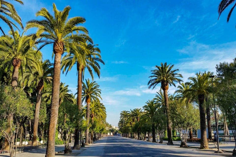 Surroundings [summer] (1-5 km)