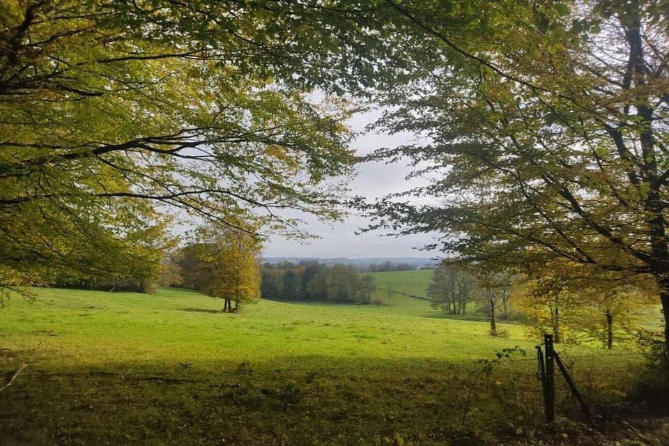 Region [summer] (>5 km)