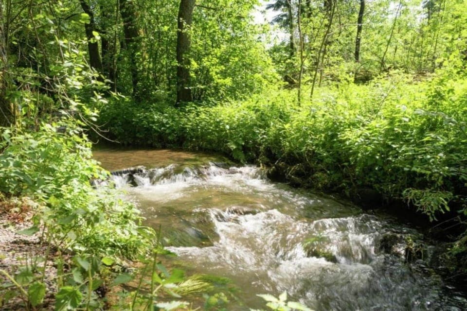 Surroundings [summer] (1-5 km)