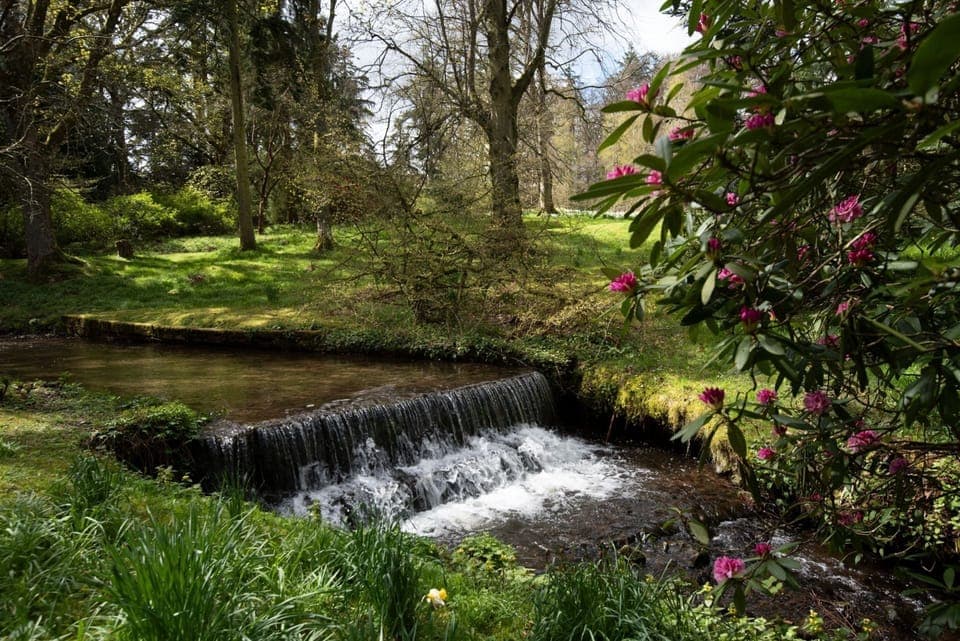 Grooms Cottage - enjoy the beauty of the woodlands of nearby Kailzie Gardens