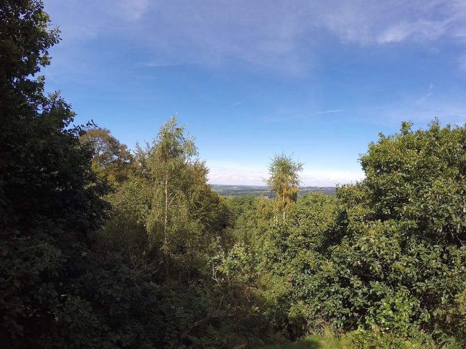 Region [summer] (>5 km)