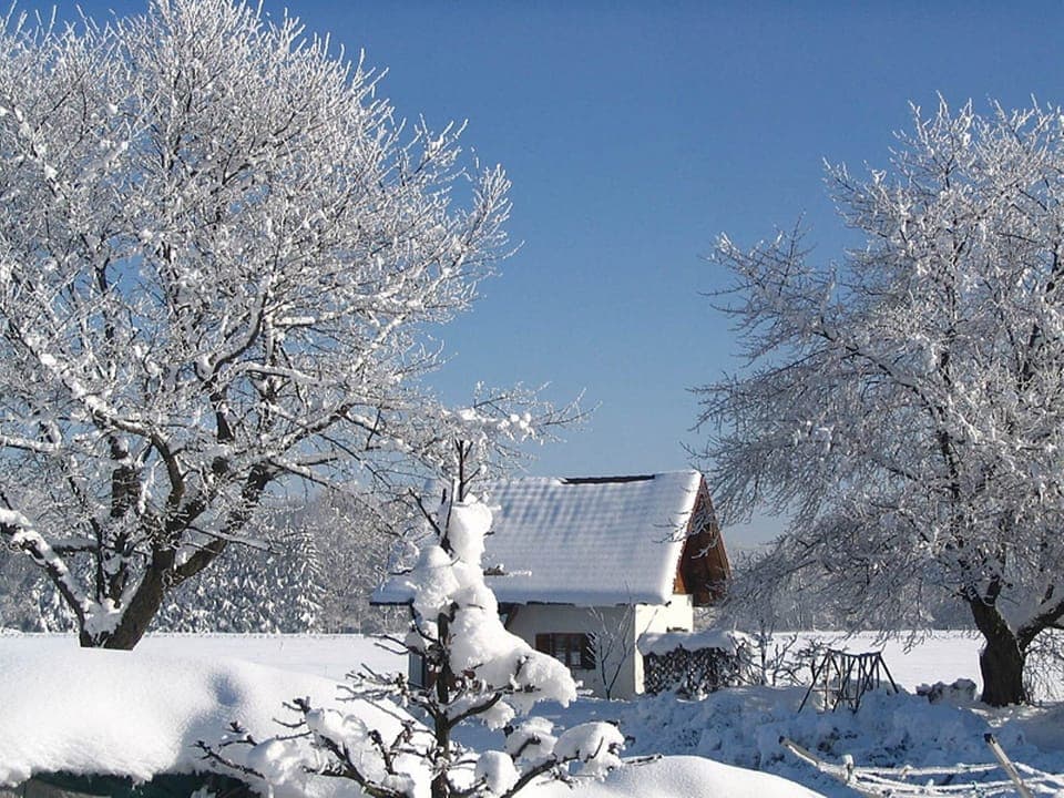 Holiday Home Exterior [winter]