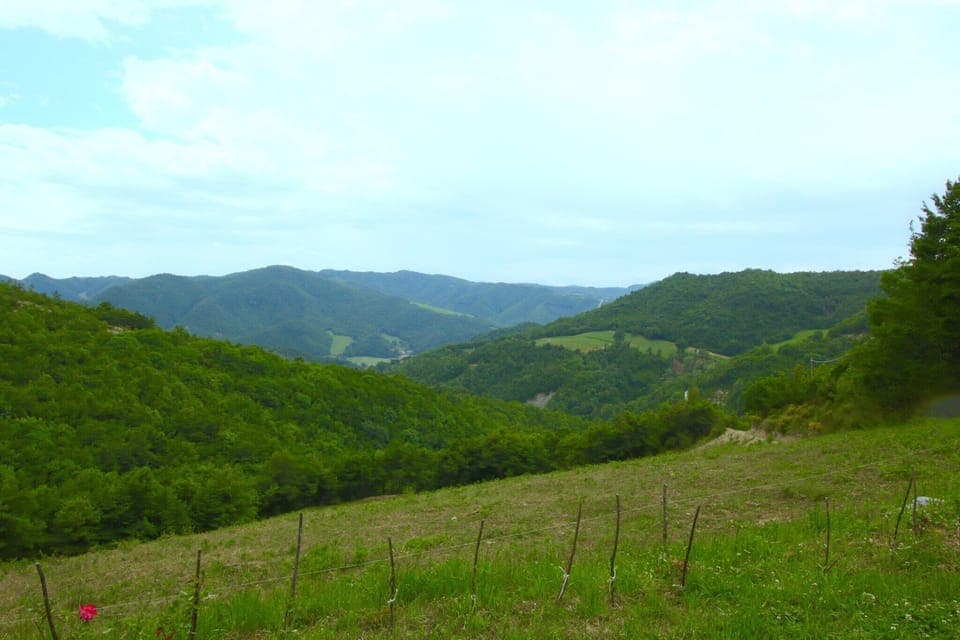 View from Holiday Home [summer]