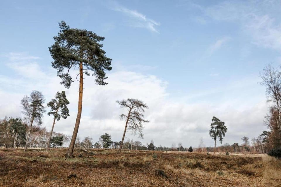 Surroundings [summer] (1-5 km)