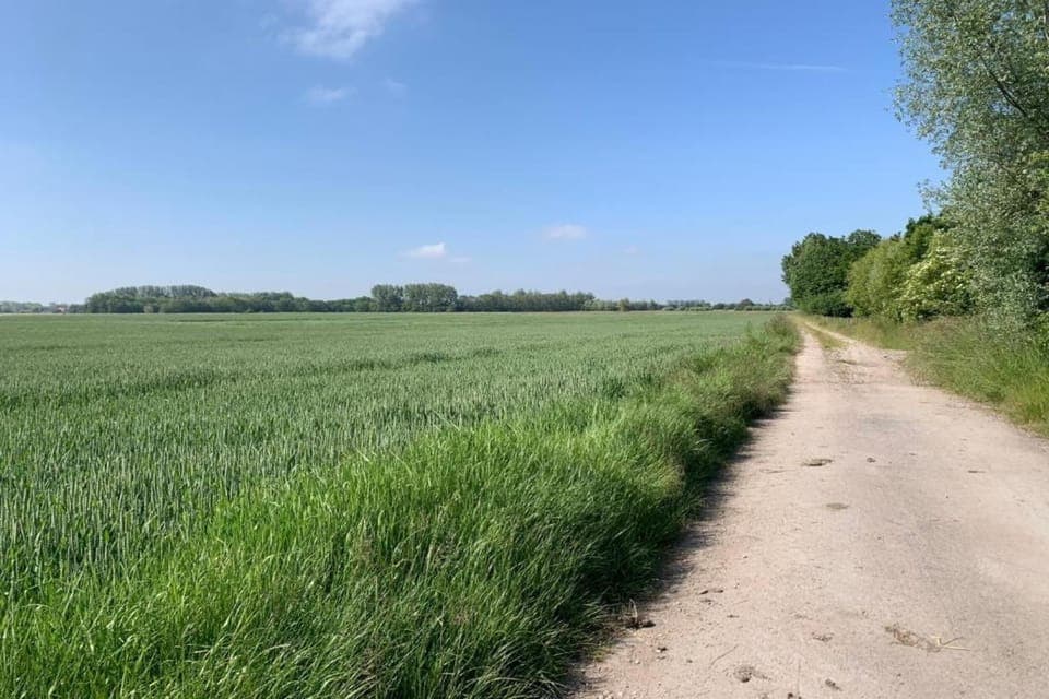 Region [summer] (>5 km)