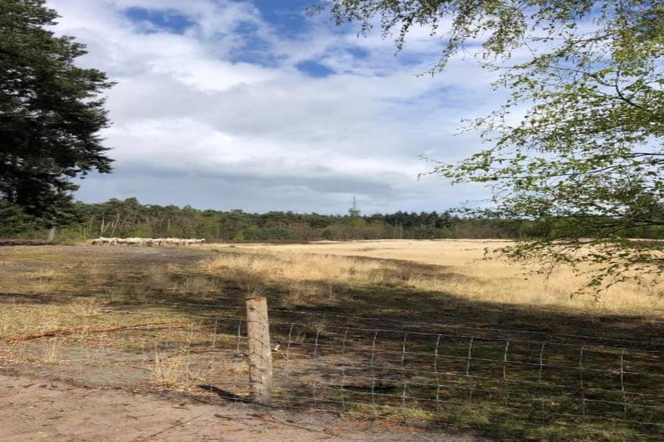 Surroundings [summer] (1-5 km)