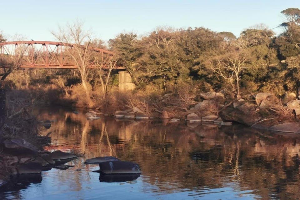 Region [summer] (>5 km)