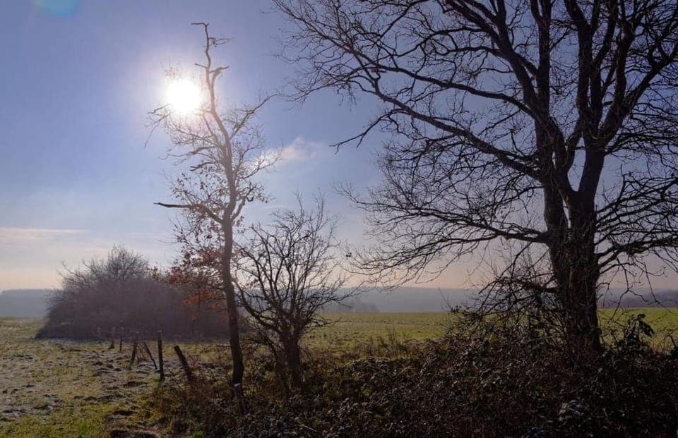 Region [summer] (>5 km)