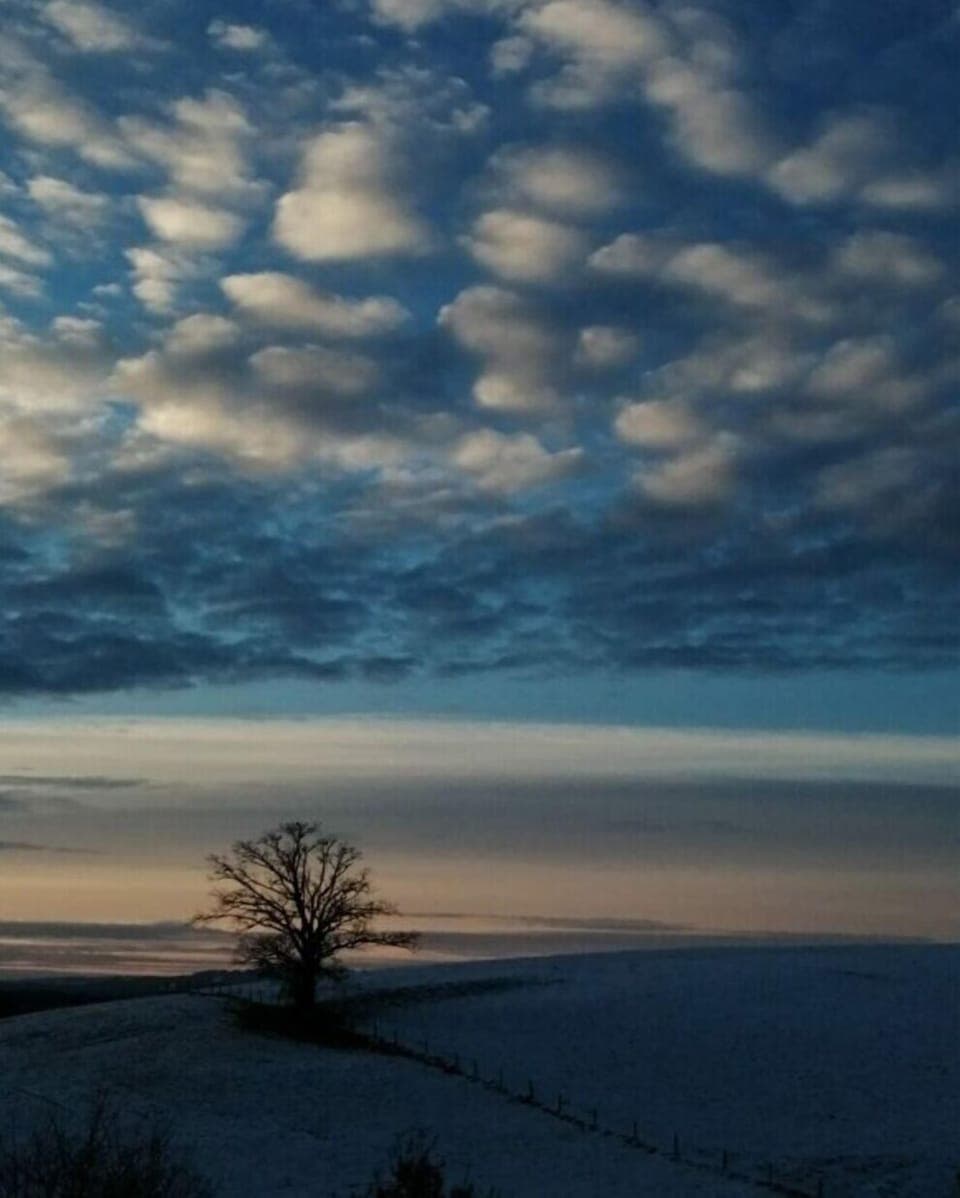 Region [summer] (>5 km)