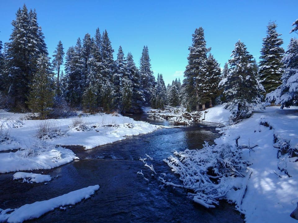 Truckee Winter Day