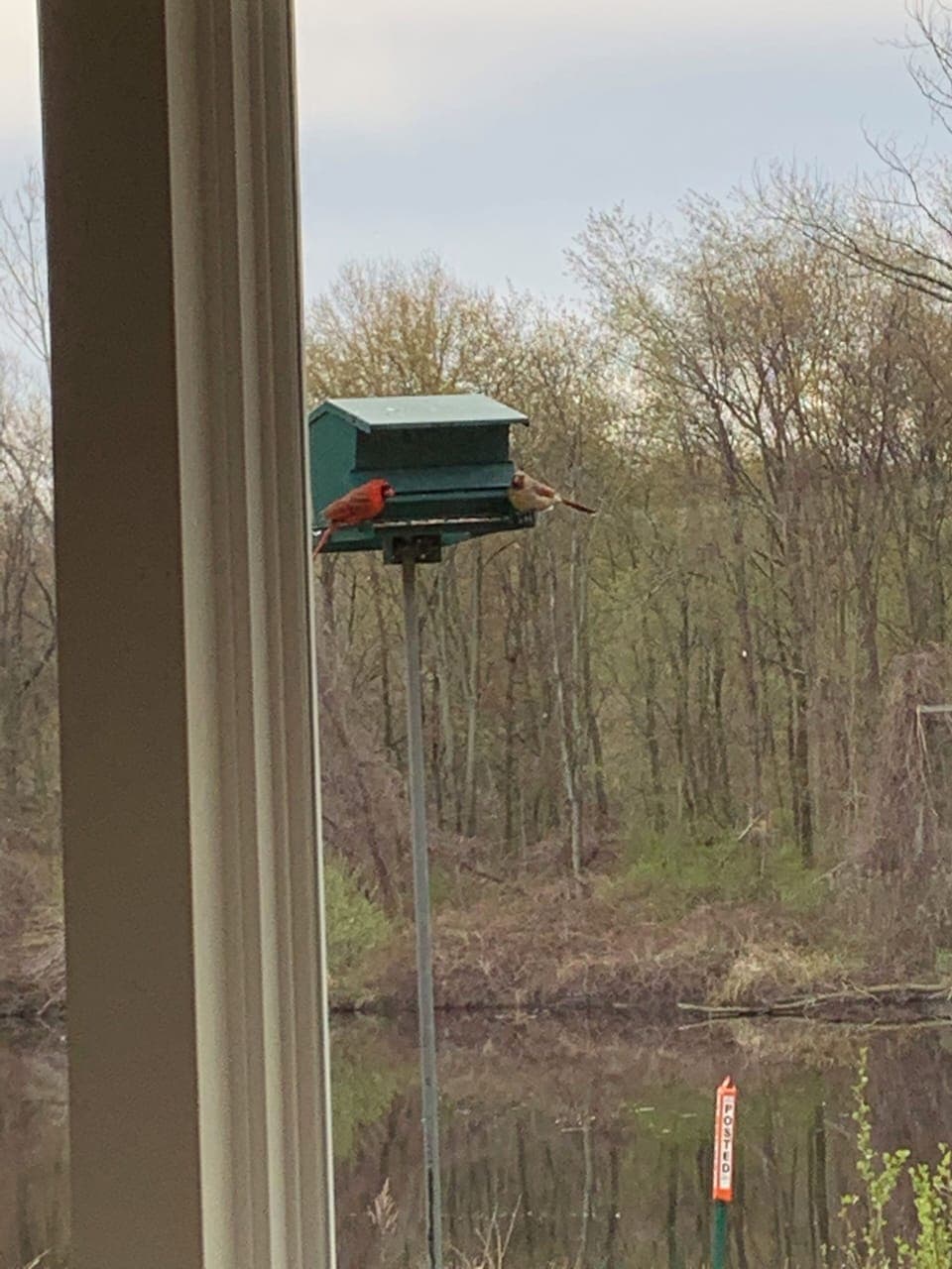 View from property