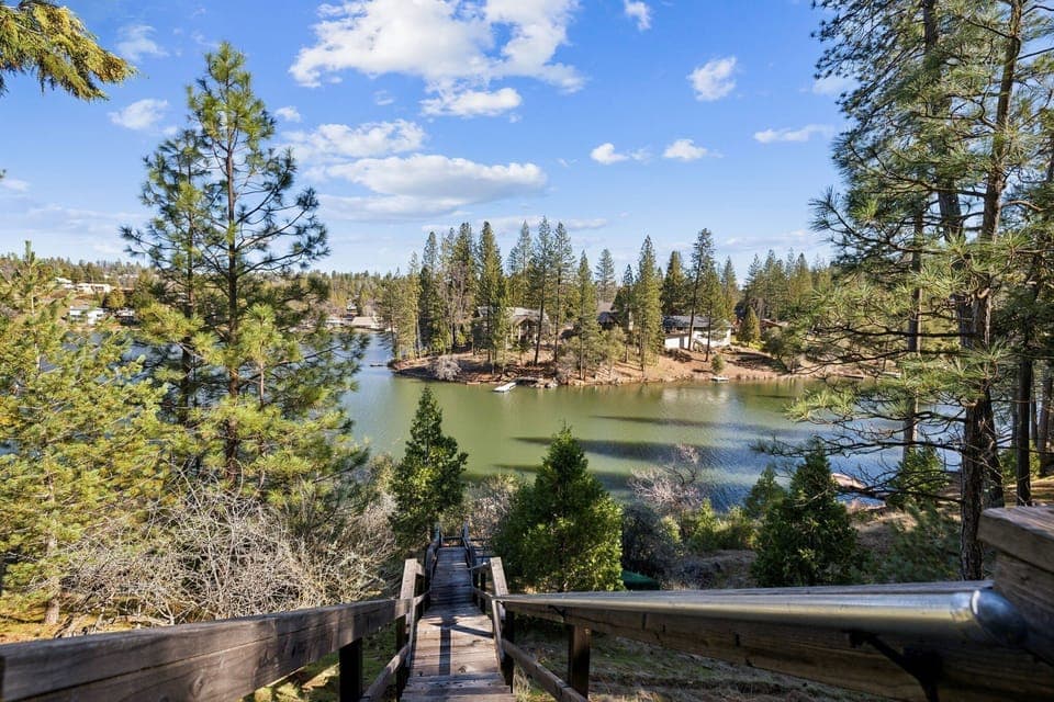 Tree, Fir, Nature, Outdoors, Scenery