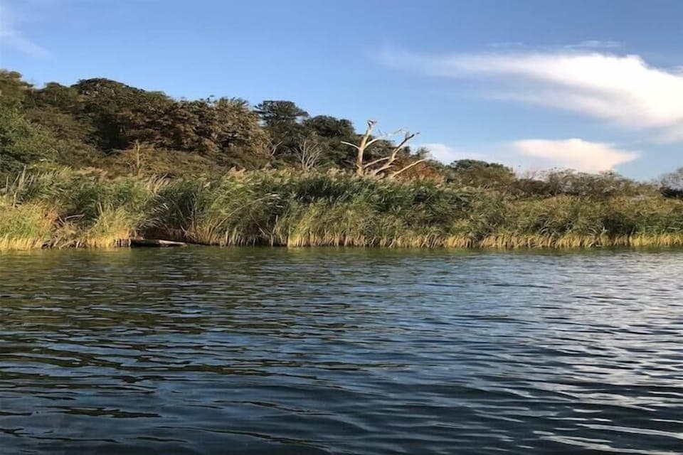 Immediate Surroundings [summer] (<1 km)