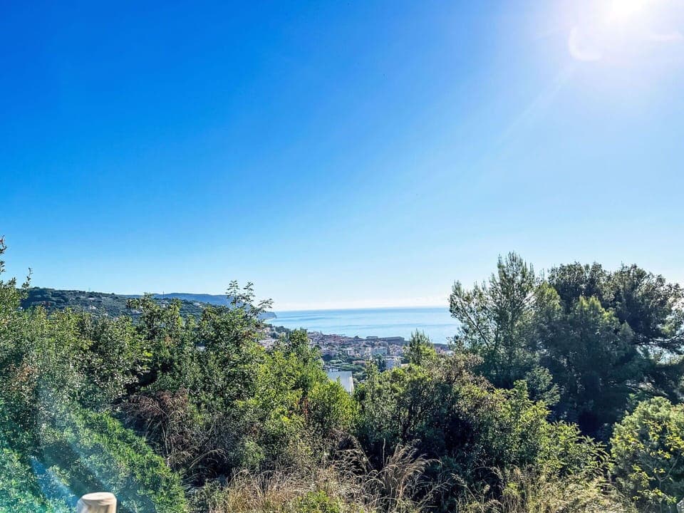 Furniture, Outdoor Furniture, Chair, Garden, Flowerpot, Patio, Outdoor Table, Estate, Houseplant, Landscaping