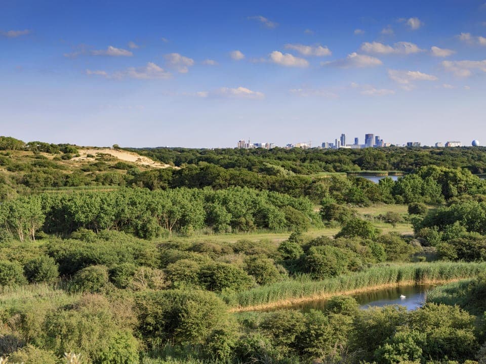 Surroundings [summer] (1-5 km)