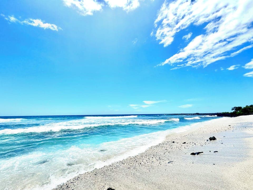 Kohanaiki Beach (Pine Tree Beach)