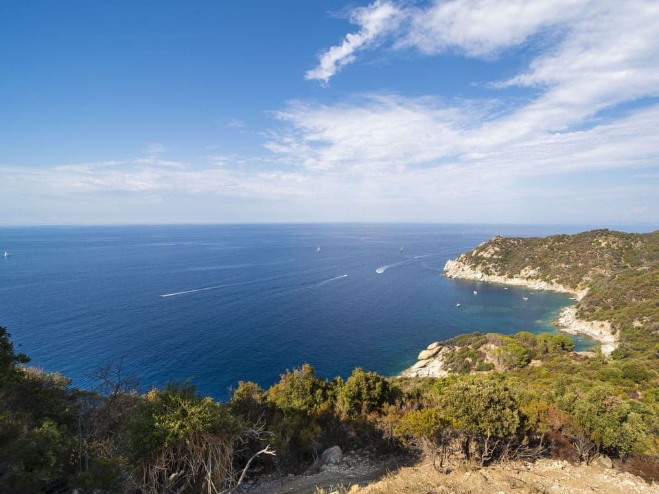 Apartment, Condominium, Shade, Balcony, Resort, Courtyard, Hotel, Campus