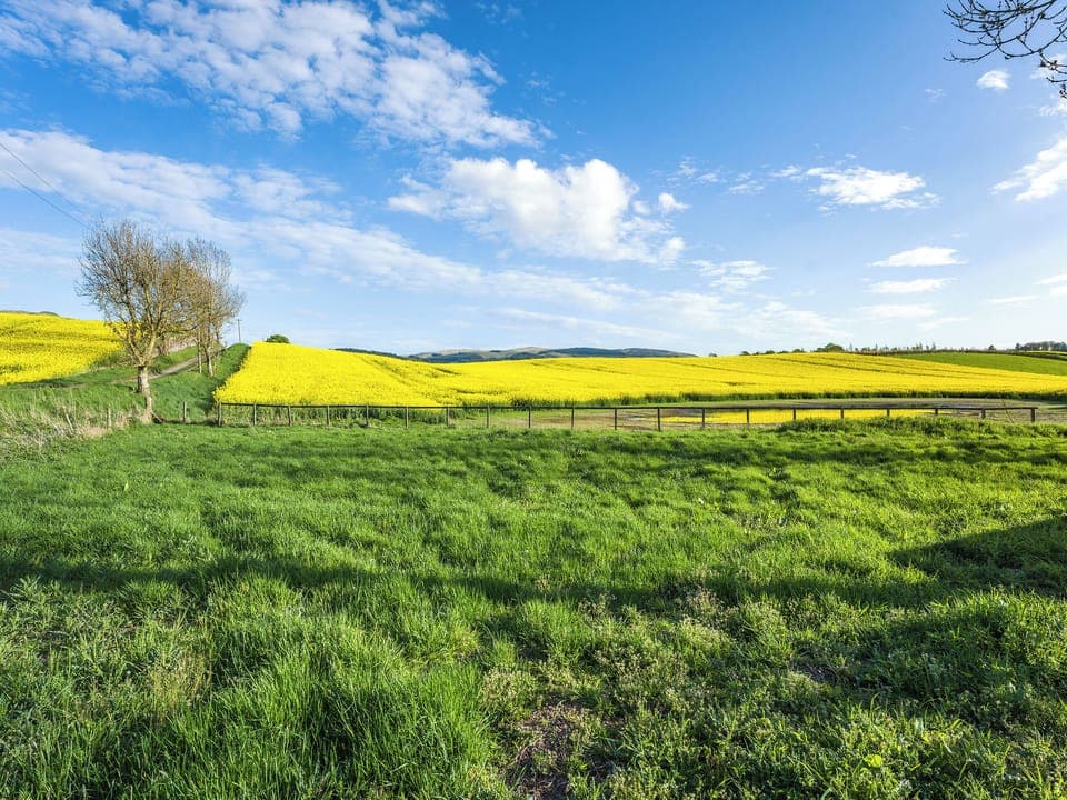 View | Newbigging Farm Cottage, Auchterarder