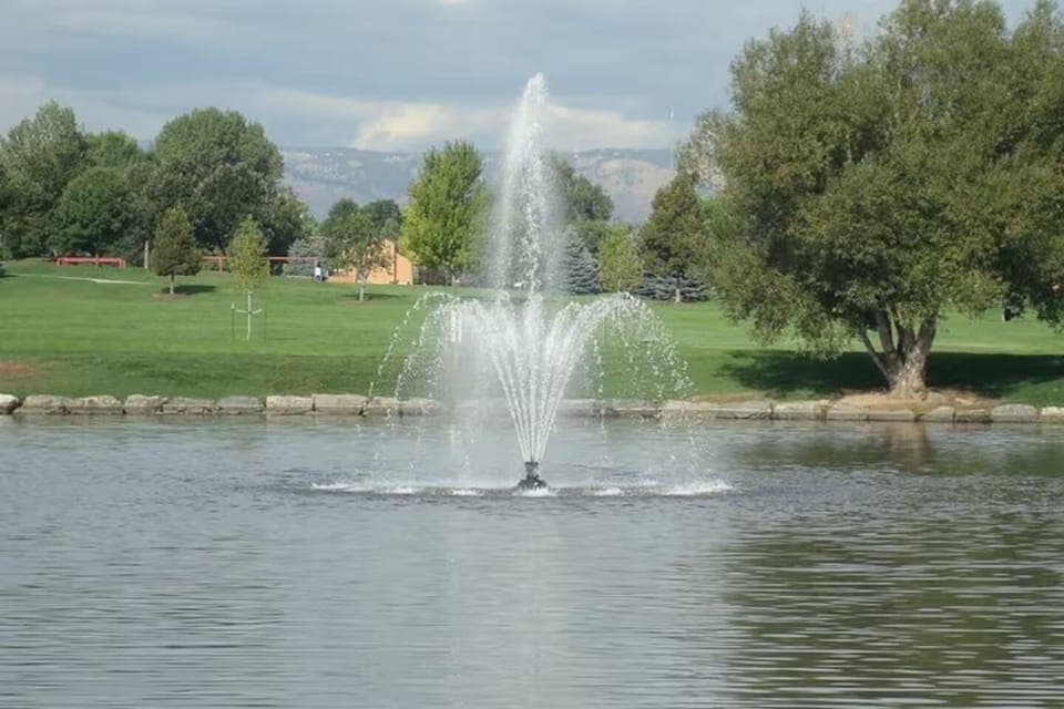 O'Kane Park is within walking distance. Geese, playground, walking path, etc.