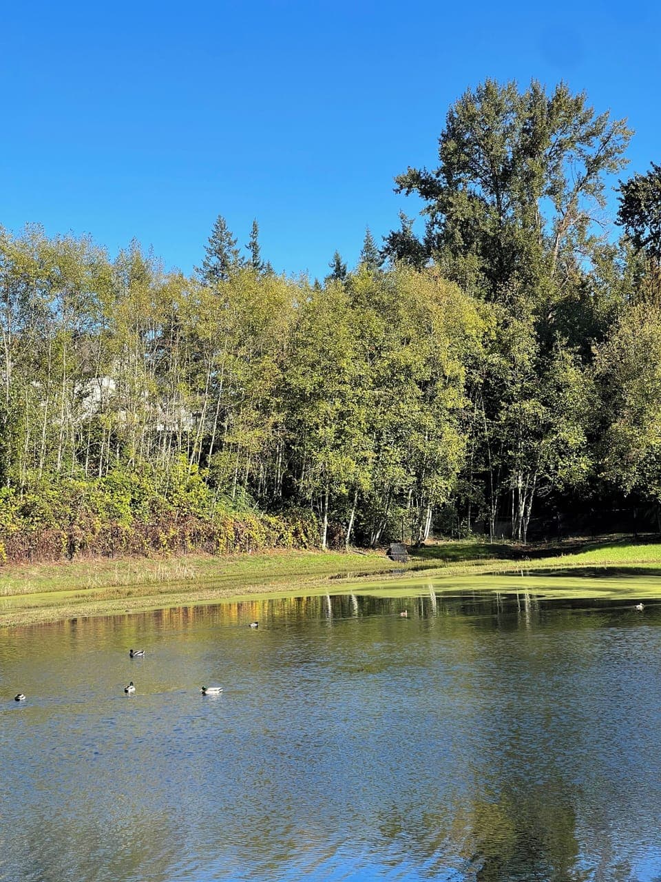 Walking Trail Images