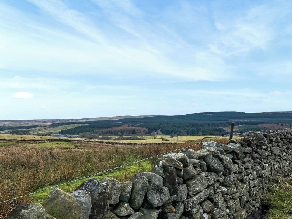 View | 4 Swallowholm Cottage, Arkengarthdale, near Reeth
