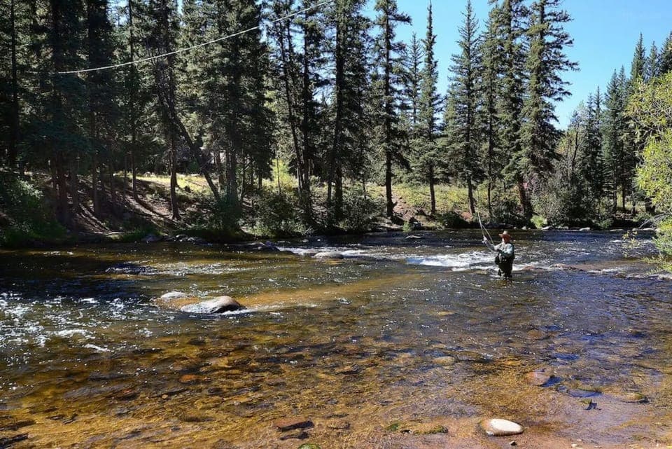 Escape to crystal-clear river waters and peaceful forest sounds.