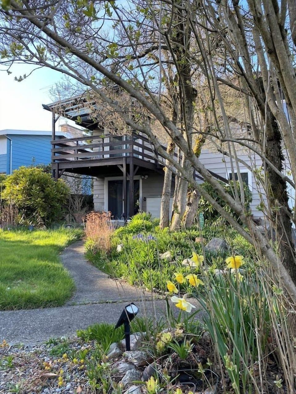 Cover Page - Backyard