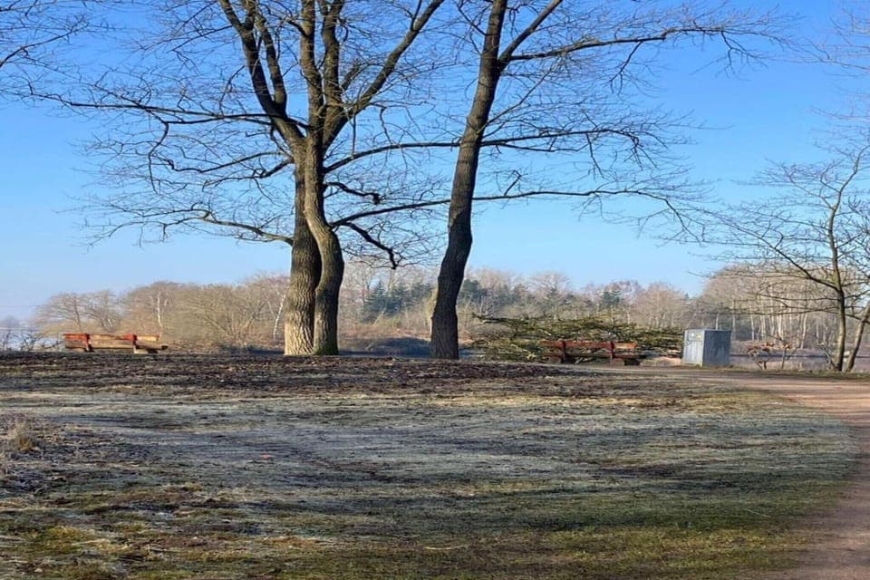 Region [summer] (>5 km)