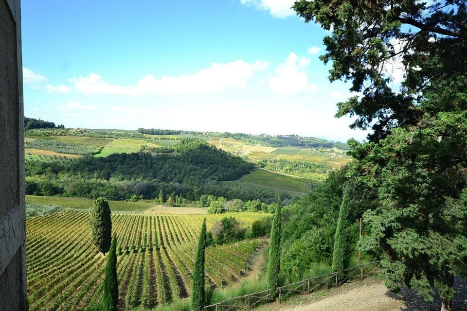 Immediate Surroundings [summer] (<1 km)