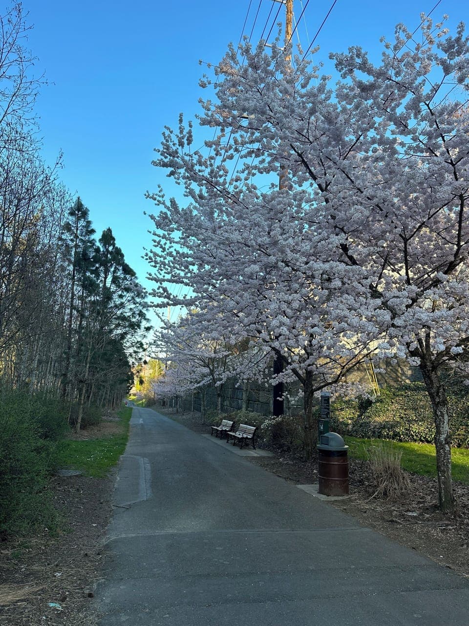 WALKING/BIKING/RUNNING PATH RIGHT BELOW OUR HOME WITH A QUICK TRAIL TO GET TO IT