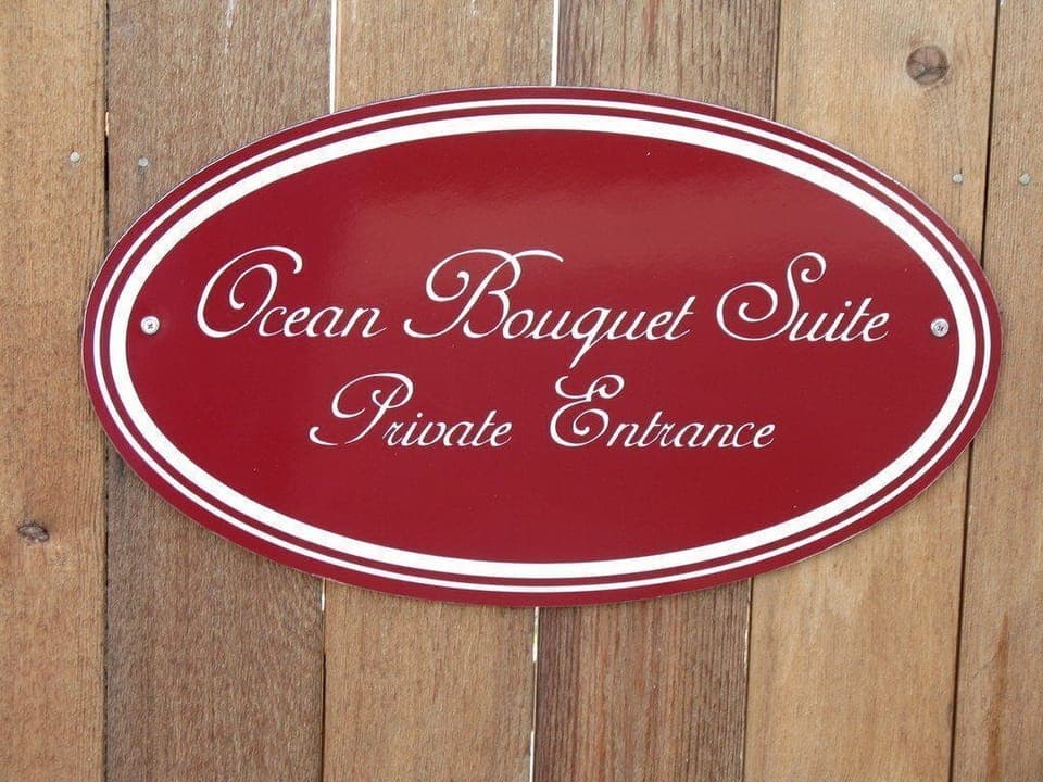 An-Ocean-Paradise-Whales-Rendezvous-B26B-020-1920w