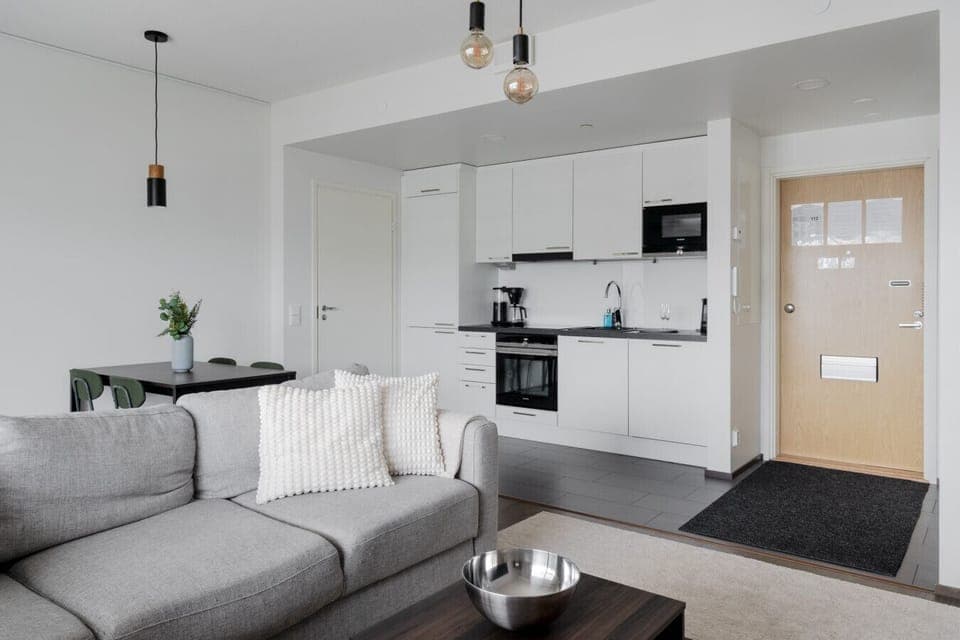 Apartment living room and kitchen