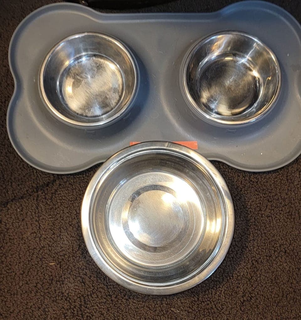 Dog Dishes