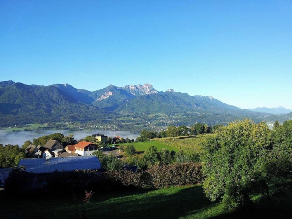 View from Holiday Home [summer]