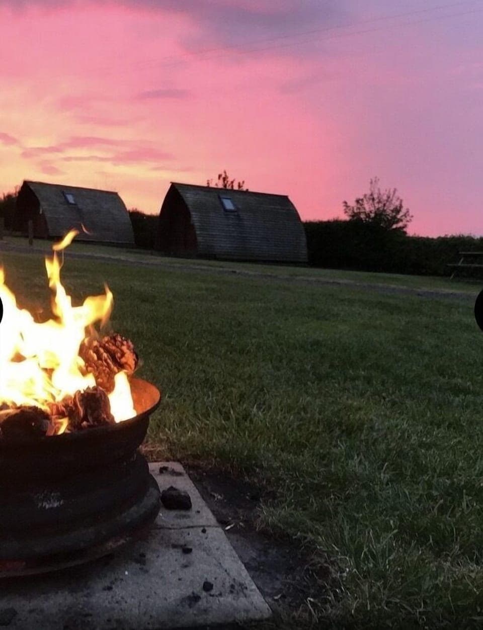 Toast marshmallows on the camp fire