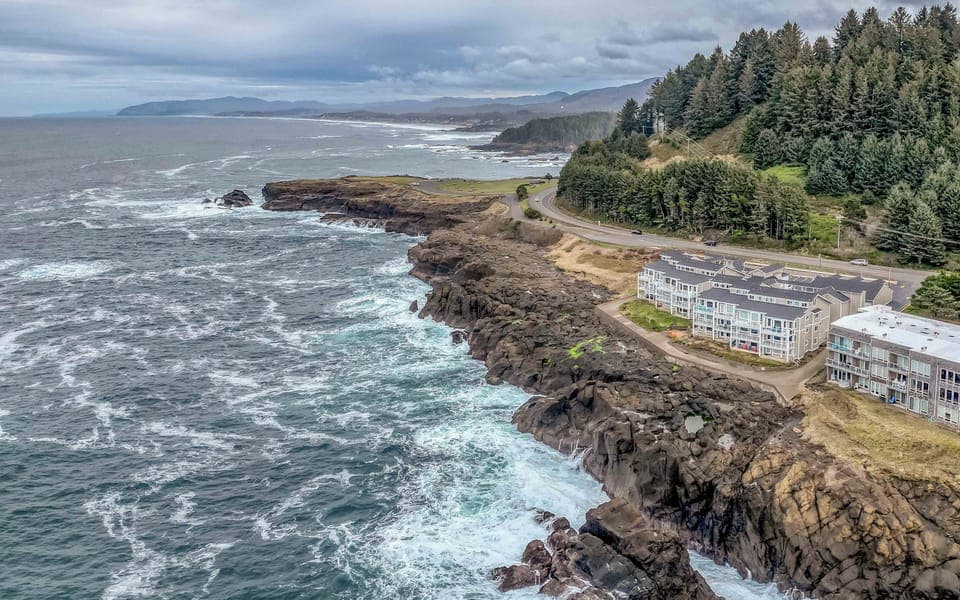 Whales and Waves-130