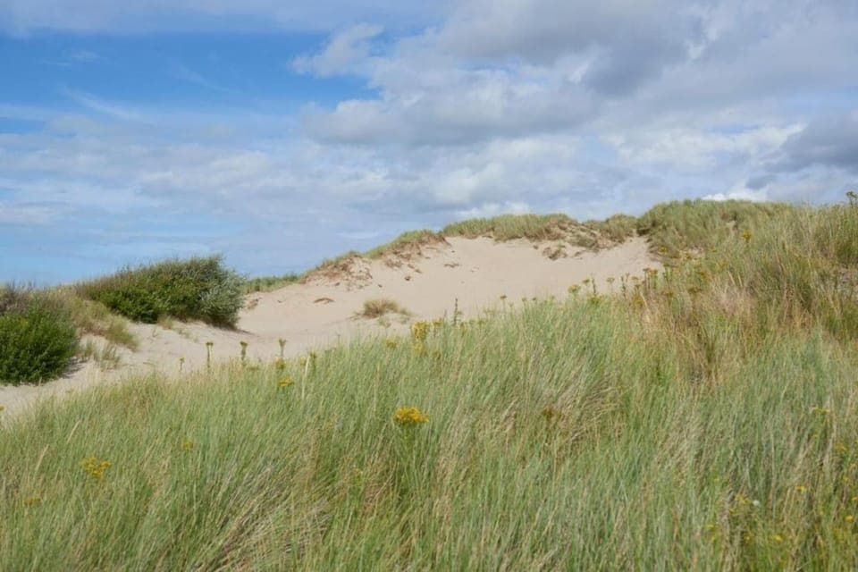 Region [summer] (>5 km)