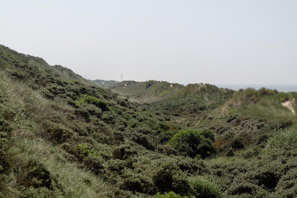 Surroundings [summer] (1-5 km)